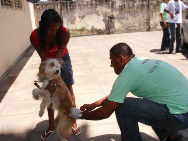 Vacinação animal em Olinda - Foto: Secretaria de Saúde
