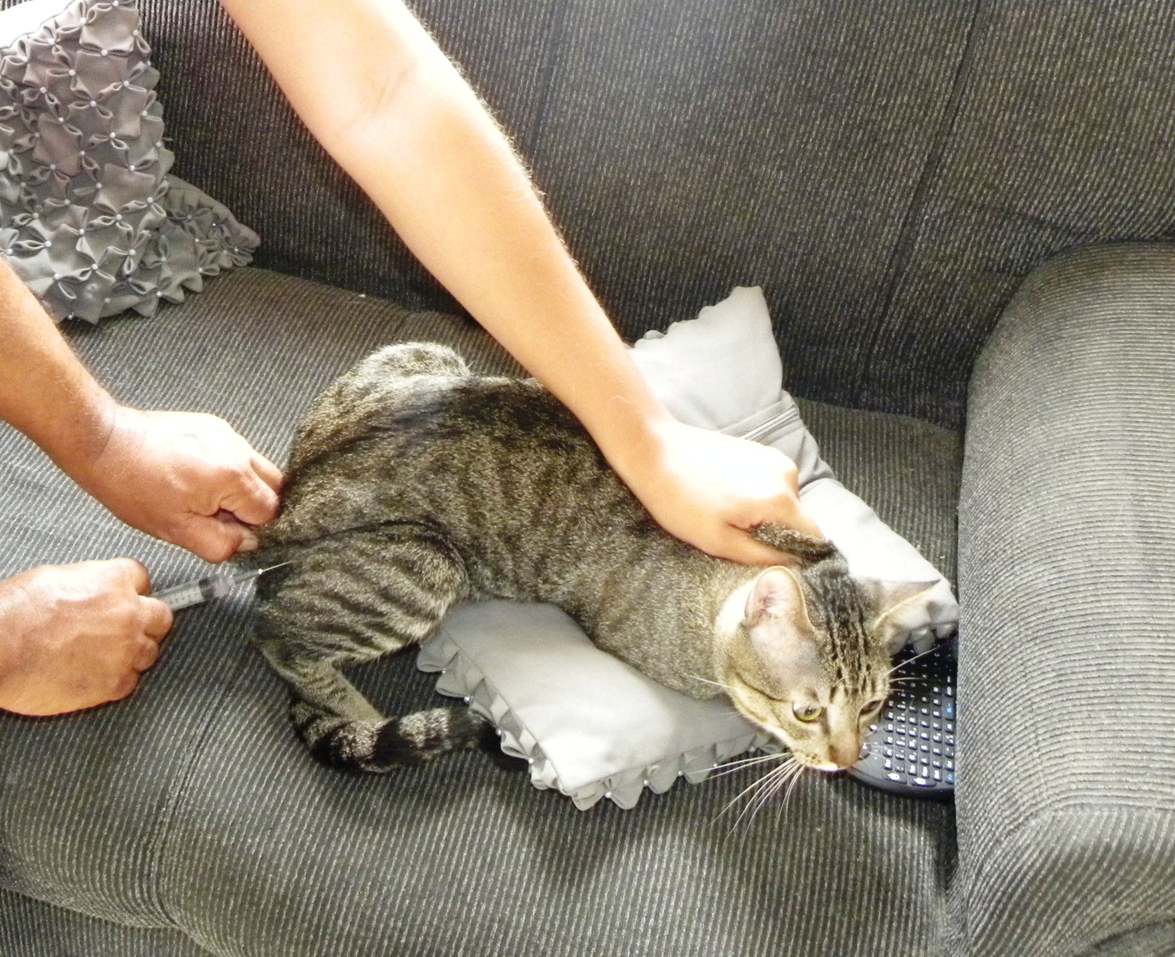 vac-2