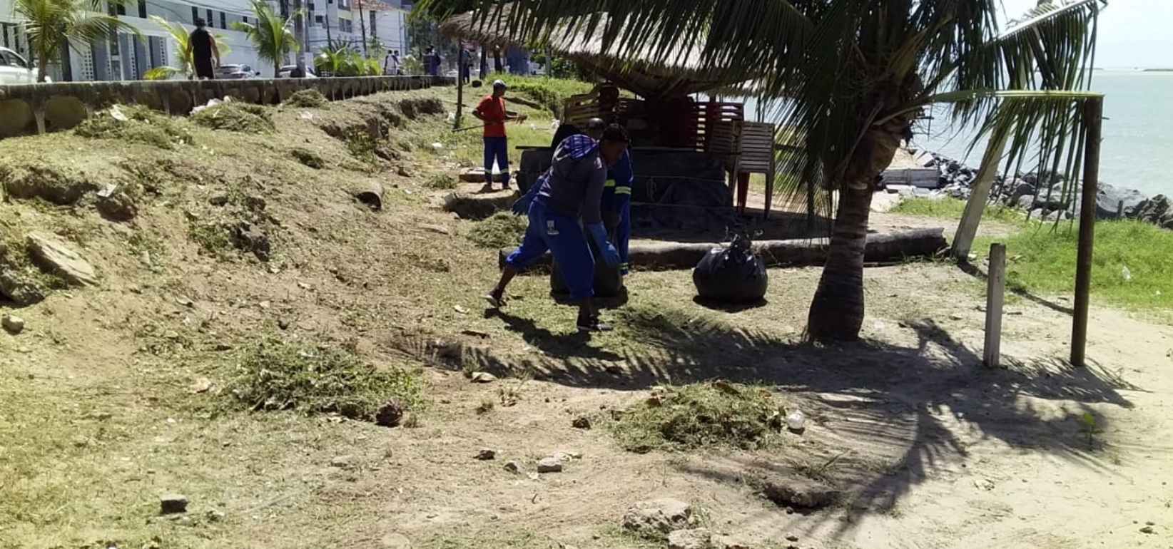 limpeza olinda