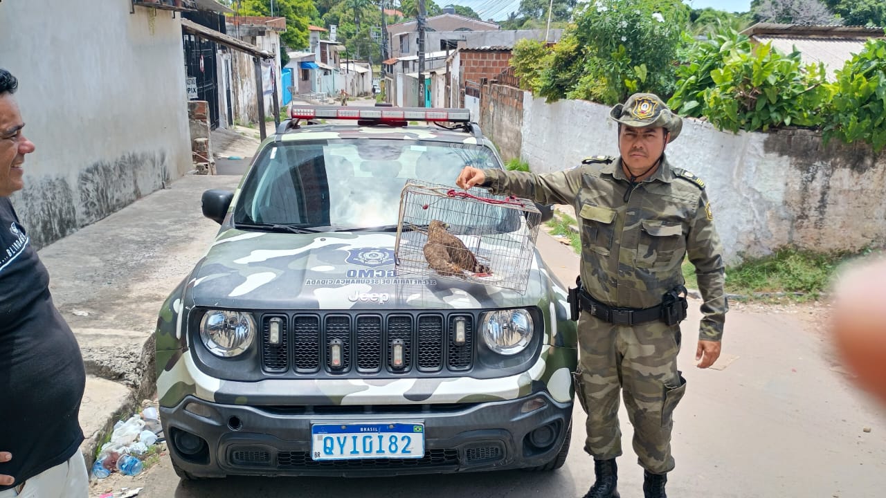 GACO 2