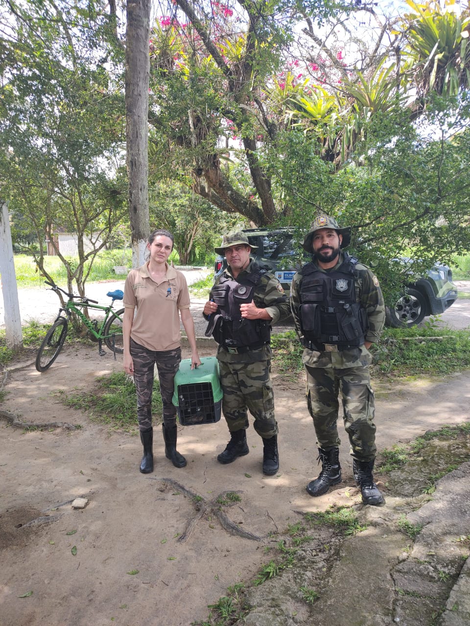 olinda_iguana3