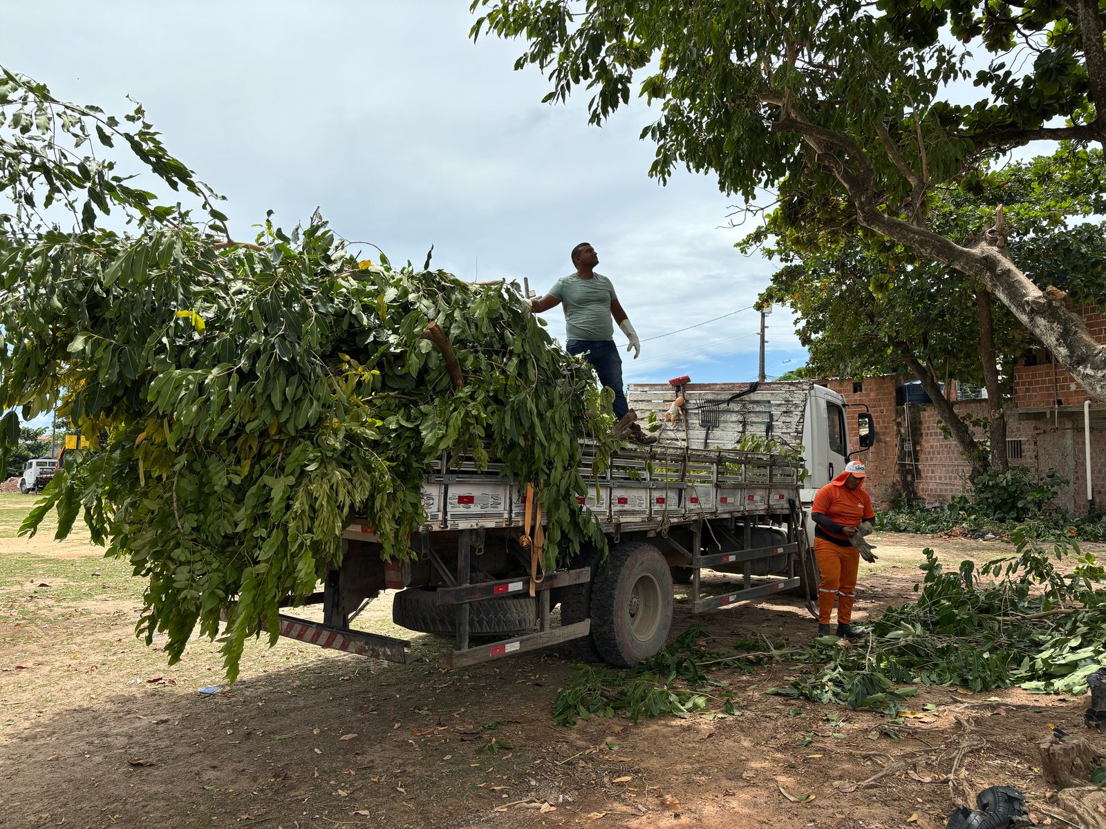 Ação arrumando a casa, em Jardim Atlântico