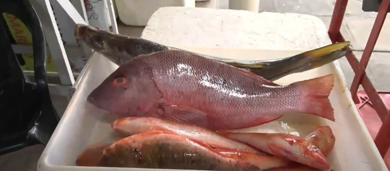 peixe