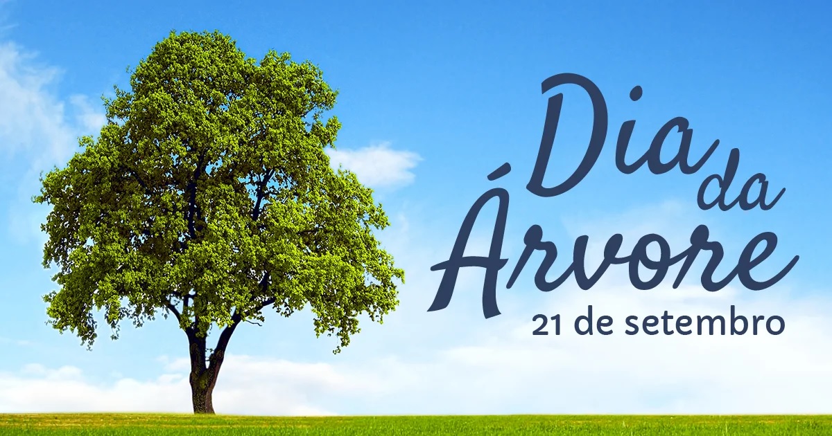 arvore