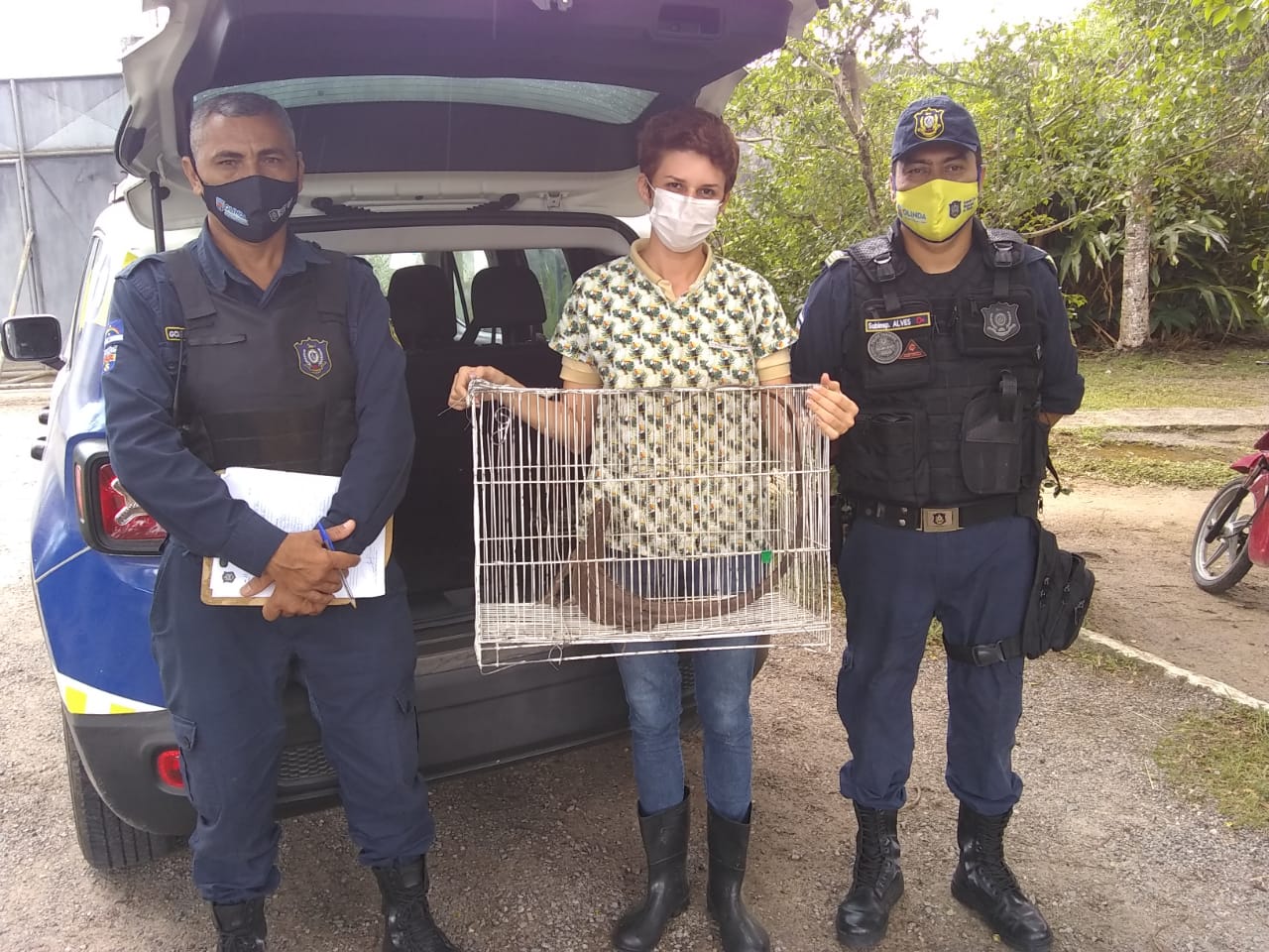Animais resgatados em Olinda (2)