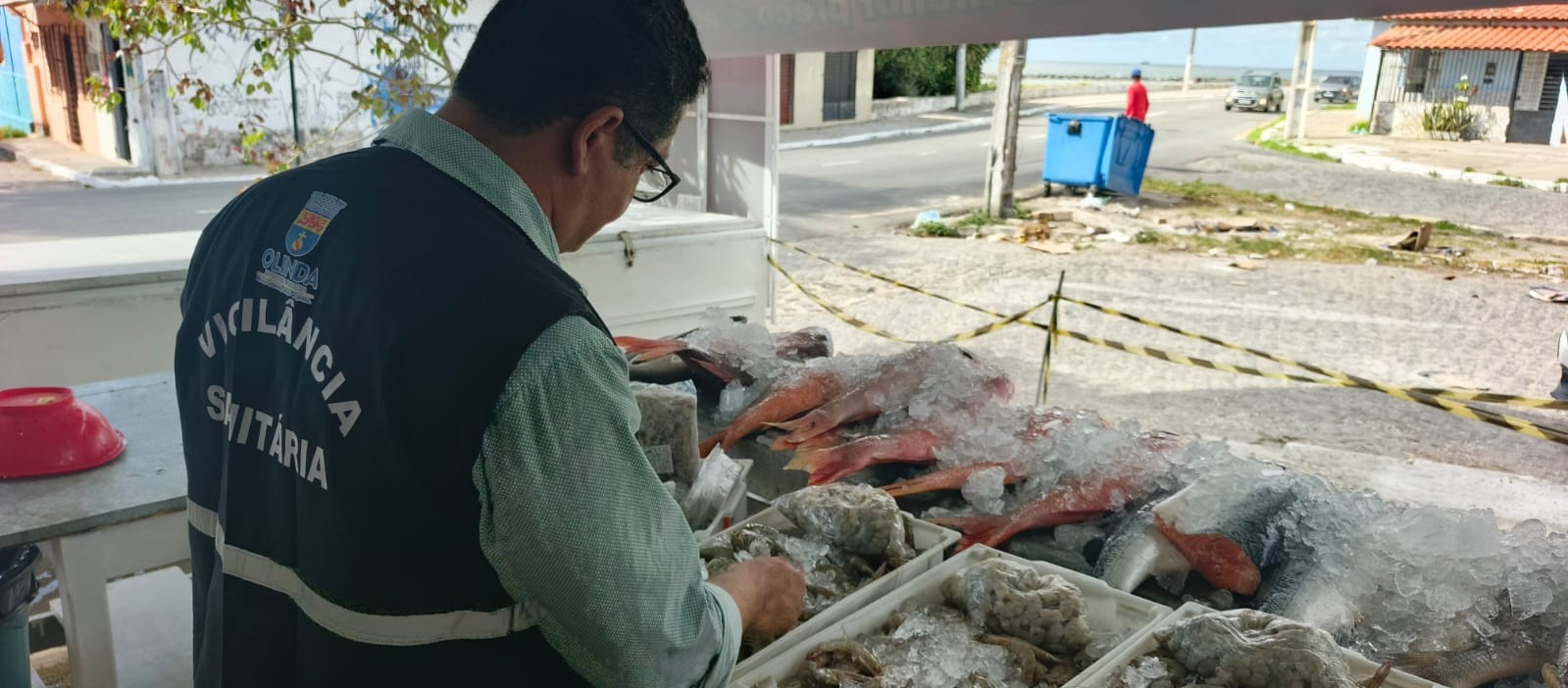 Fiscalização da vigilância santintária