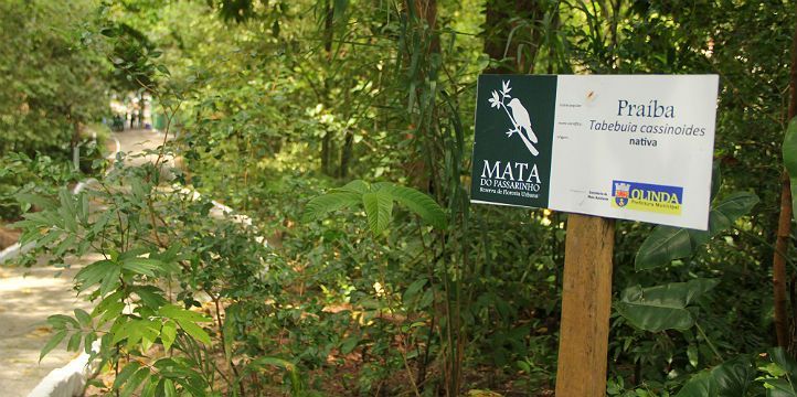 MATA DO PASSARINHO