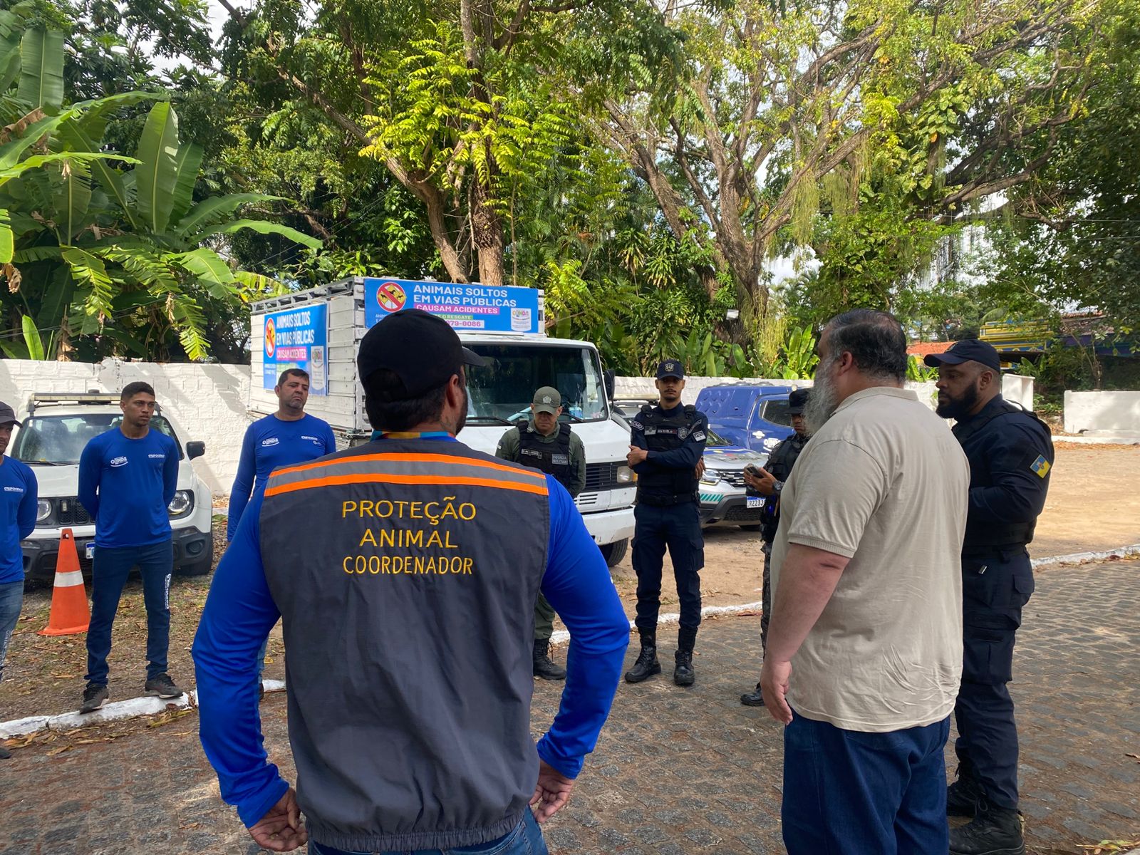 Olinda retoma resgate de animais de grande porte soltos nas ruas