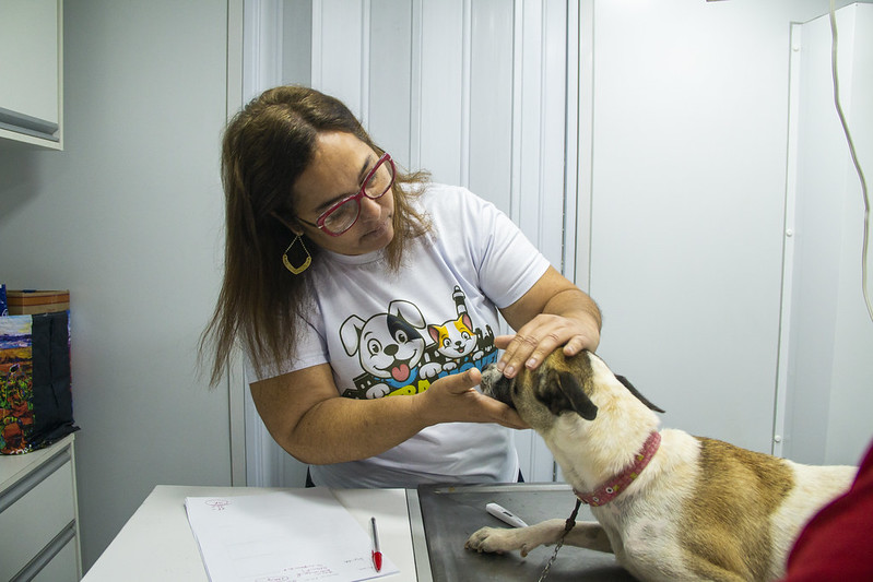Castramóvel_Águas Compridas