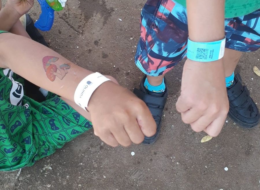 PULSEIRA CARNAVAL CAPA