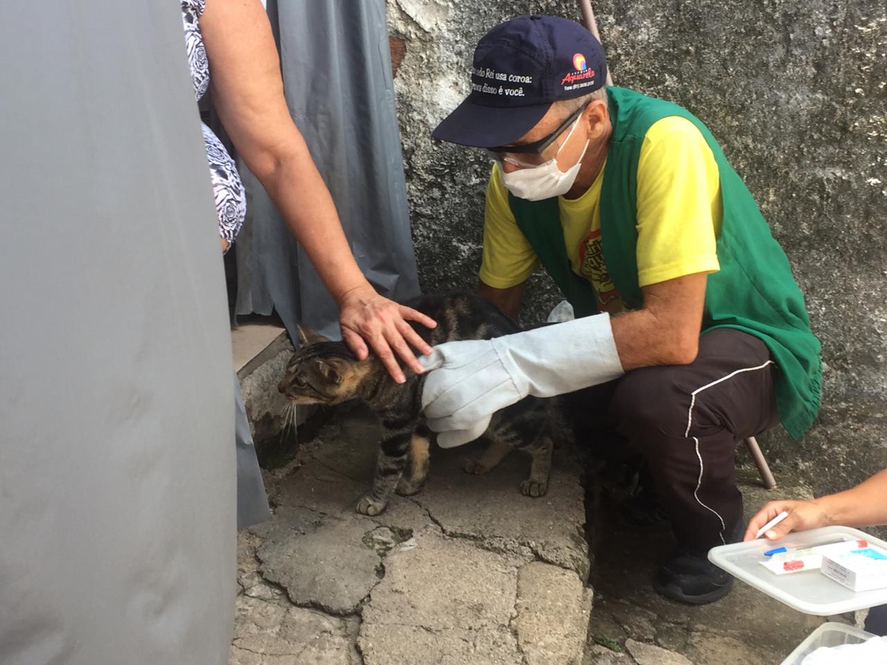 GATO 1