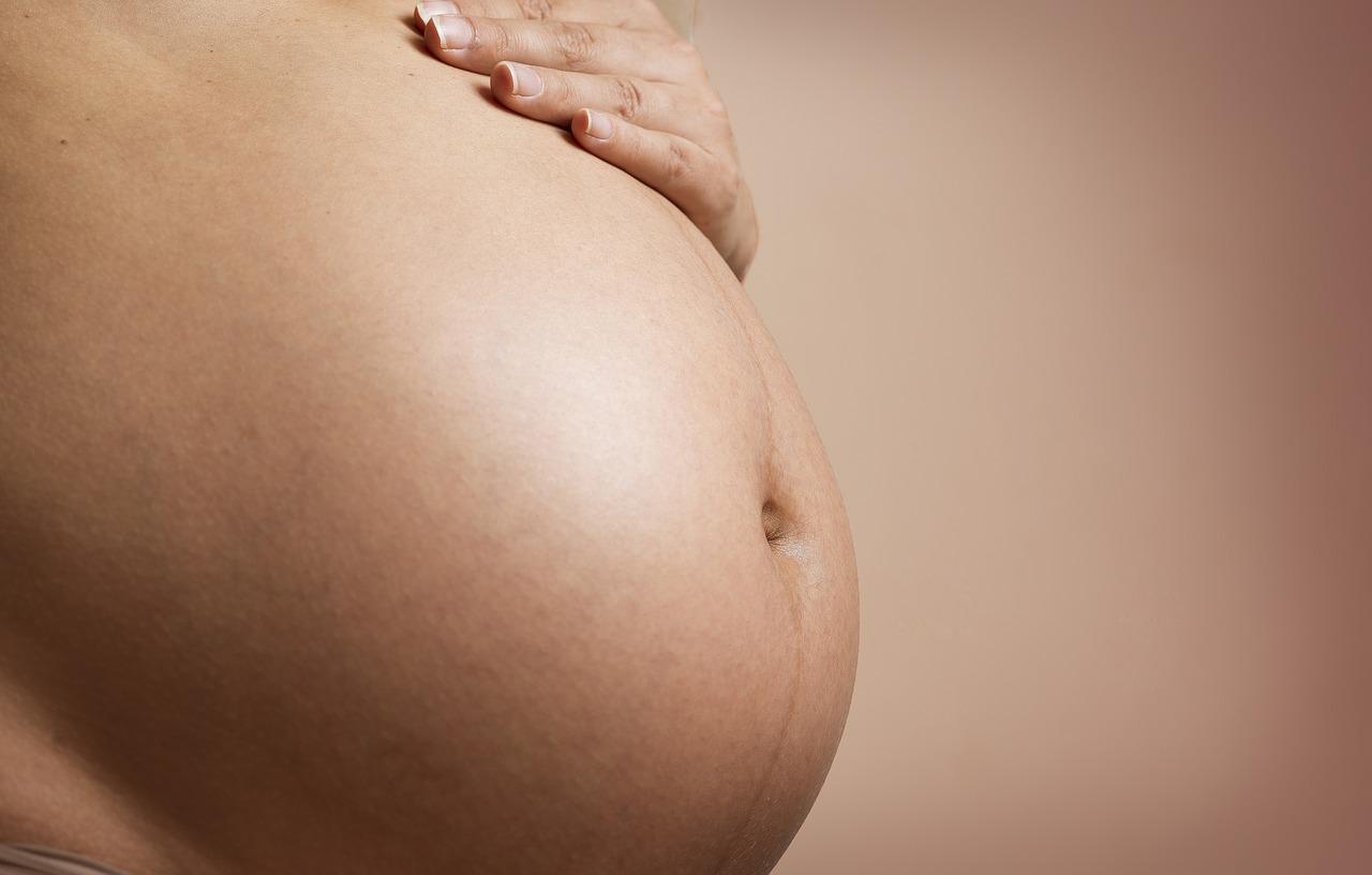 pregnant-g733d35fed_1280