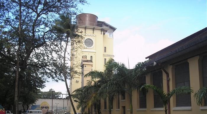 nascedouro olinda