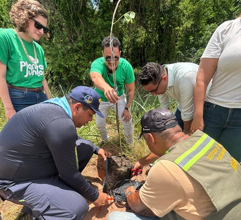 Plantar Juntos – Corredores e Praças Verdes: 3° Edição amplia arborização da Avenida Olinda com mais de 100 mudas de árvores nativas