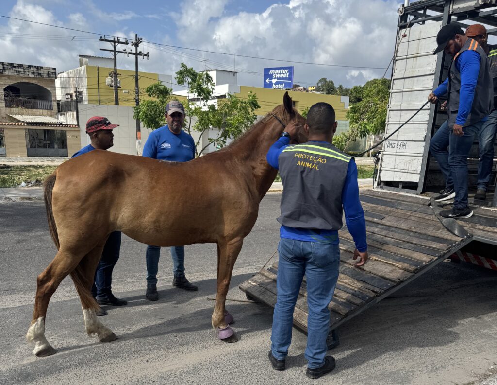 proteção Animal