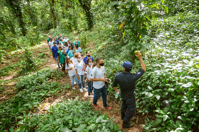 2. Mata do Passarinho