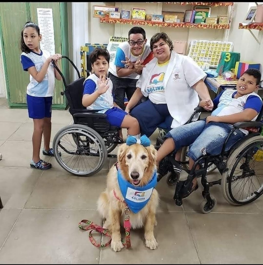 bolinha2