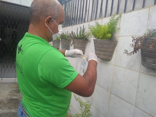 foto 2 cevao