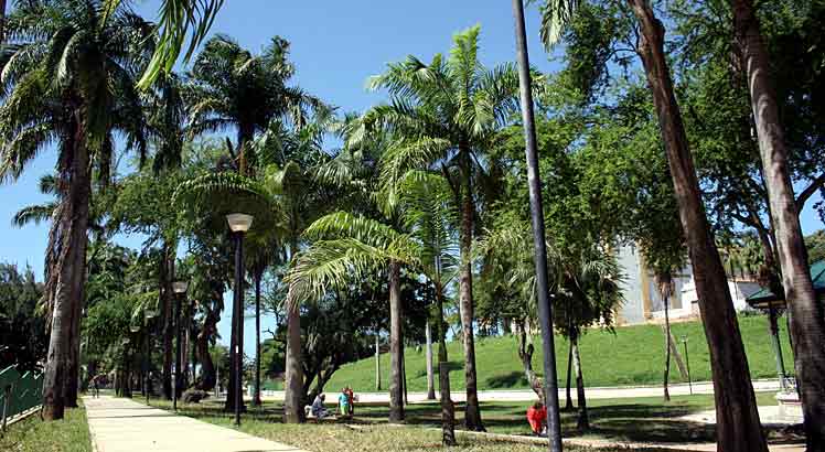 olinda_carmo