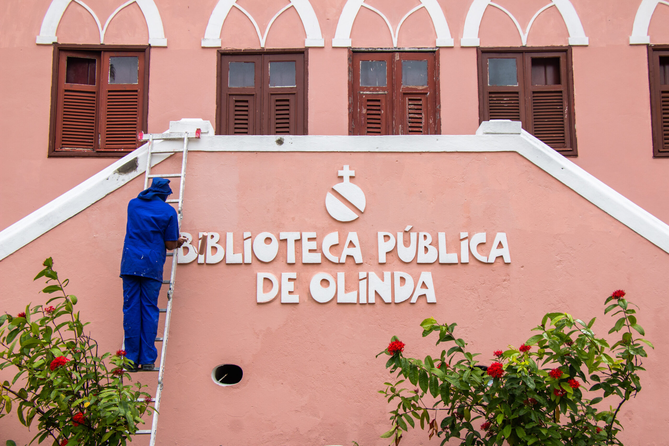BIBLIOTECA 1