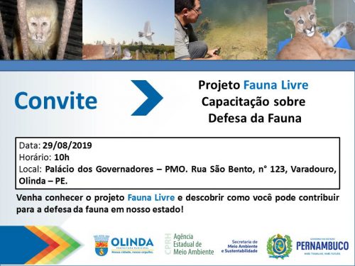 arte fauna