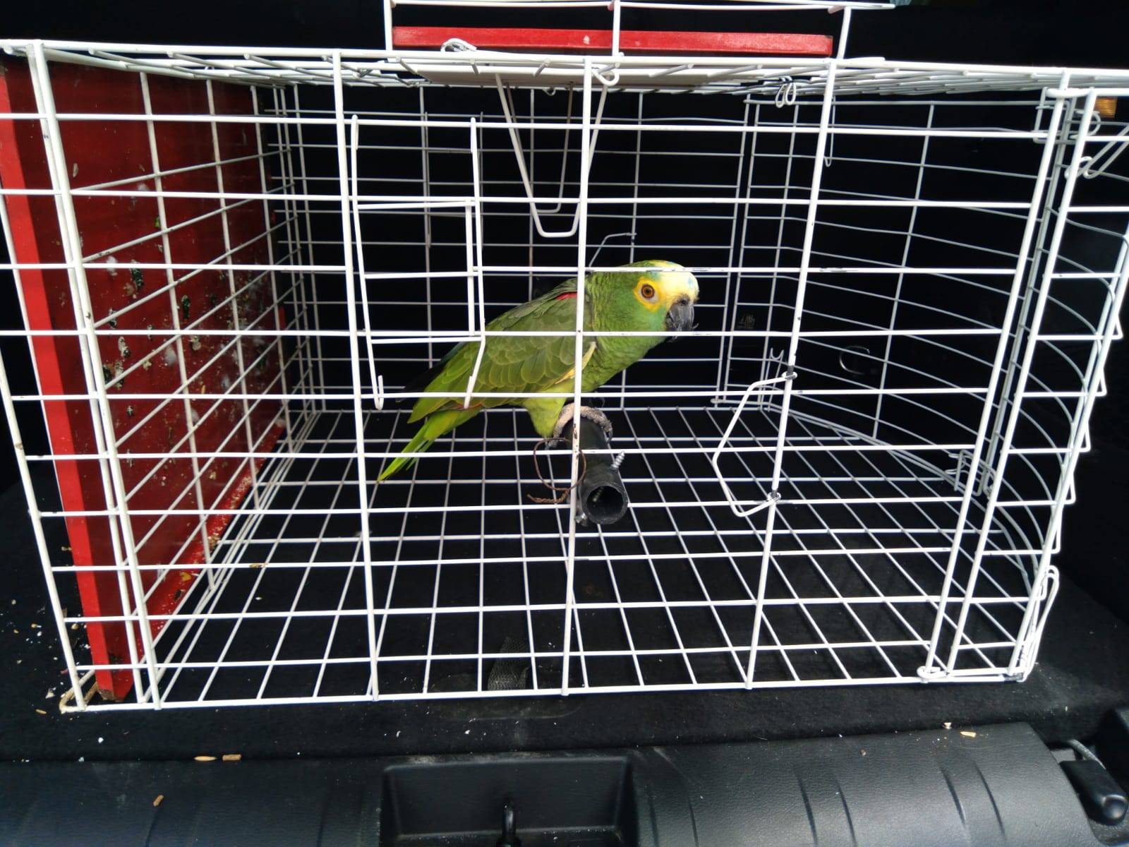 IMG-20210802-WA0069