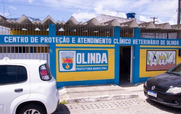centro-veterinario