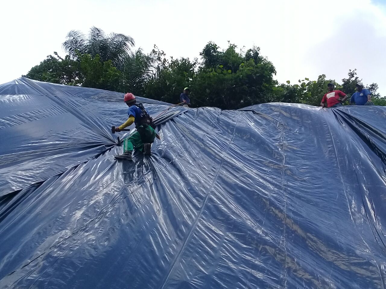 WhatsApp Image 2018-05-23 at 16.23.46