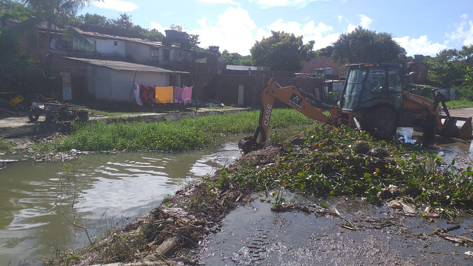 Limpeza de baronesas no Canal da Malária