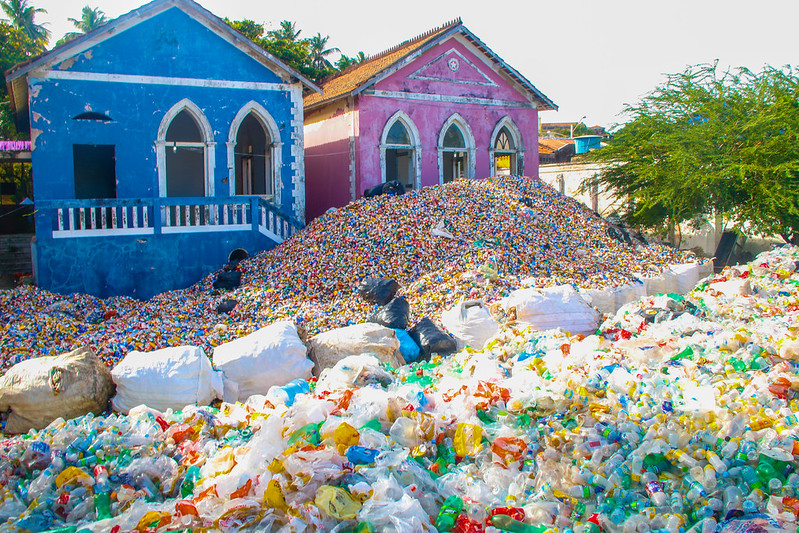 Reciclagem_Olinda_2_Alice Mafra